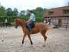 DSCF0010.jpg (115682 octets)