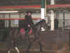 DSCN2229.jpg (137270 octets)