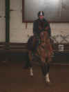 DSCN2256.jpg (95766 octets)