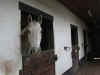DSCN2275.jpg (111117 octets)