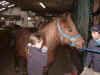 DSCN2293.jpg (143753 octets)