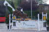 DSCN7121.jpg (81060 octets)