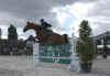 DSCN7128.jpg (53483 octets)