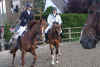 DSCN7135.jpg (86775 octets)