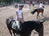 DSCN7905.jpg (165589 octets)
