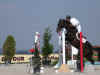 DSCN7907.jpg (75090 octets)