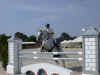 DSCN7920.jpg (72480 octets)
