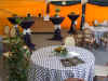 DSCN7928.jpg (129860 octets)