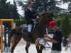 DSCN7937.jpg (52260 octets)