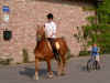 pottes2002_0424AA.jpg (113889 octets)