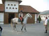 pottes2002_0424AP.jpg (65533 octets)